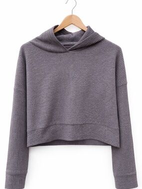 ALO Yoga Cropped Ribbed Hooded Sweater in Raisininette Heather
